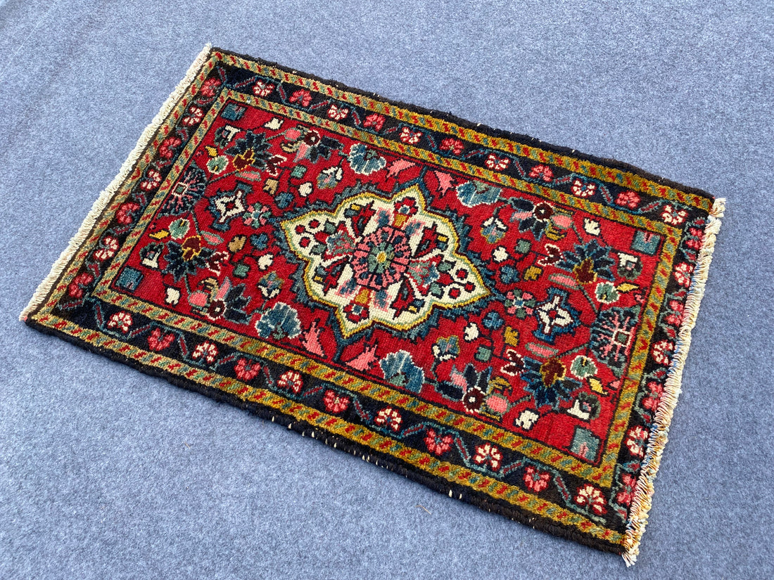 3.1' x 2.1' Ft. Authentic Persian Hamadan Hand Knotted Finest Wool Small Area Rug BR1019