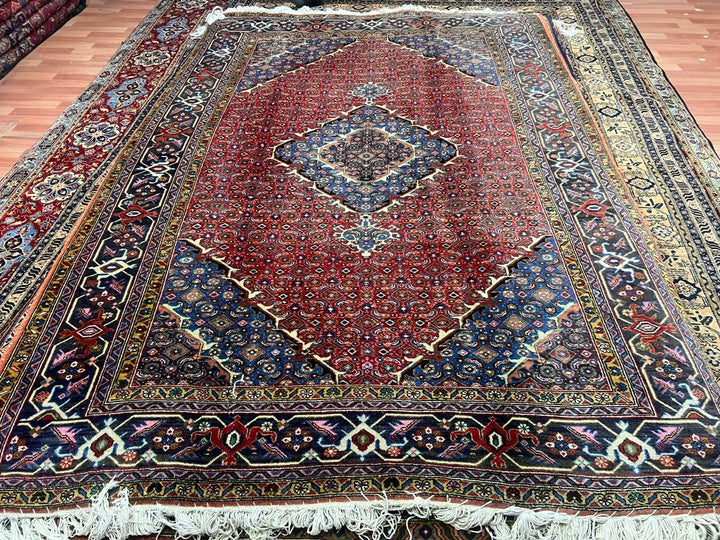 9' x 6' Spectacular Rare Authentic Wool & Silk Vintage Persian Tabriz Mahi Hand Knotted Area Rug - BR144