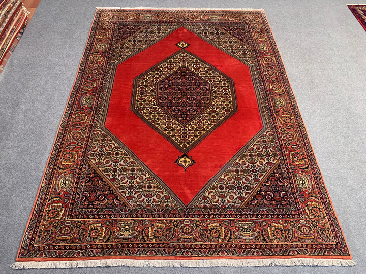 8’ x 6’ Authentic Persian Antique Hand Knotted Bijar/Shikargah Area Rug BR19