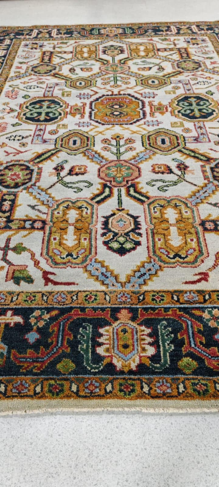 12' x 9' Ft. Authentic Indian Seraphim Hand Knotted Fine Hand Spun Wool Large Area Rug BR127