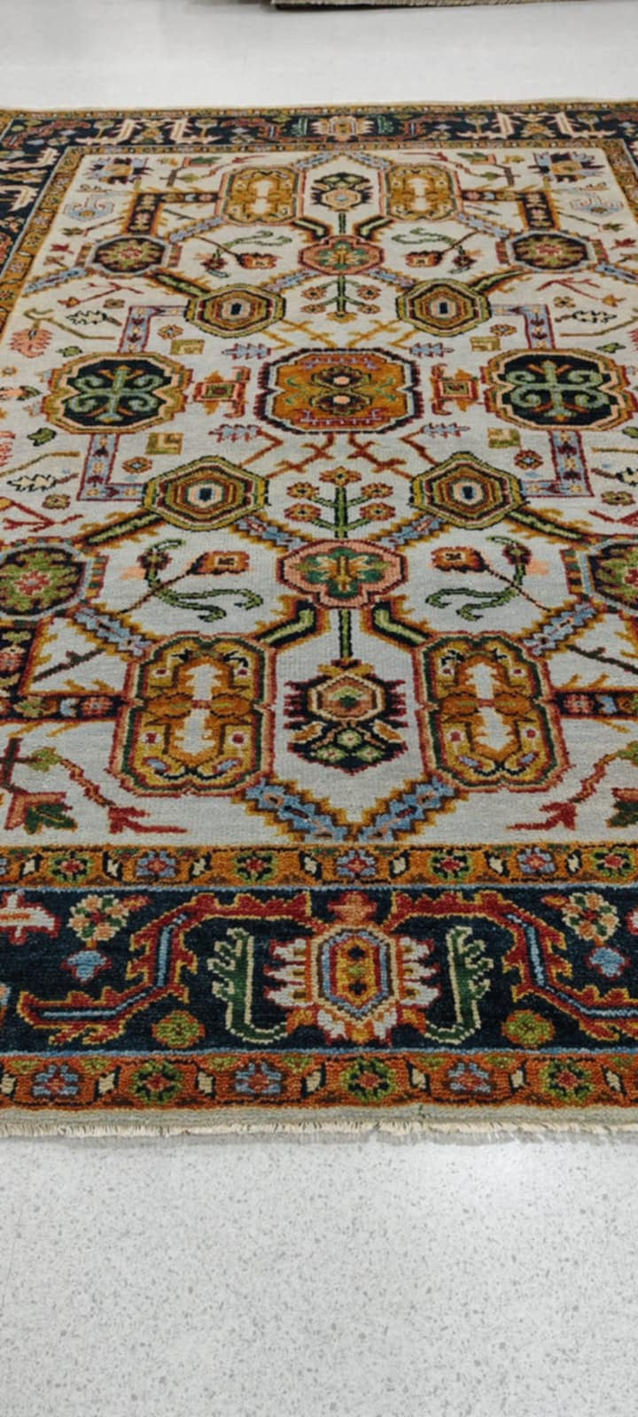 12' x 9' Ft. Authentic Indian Seraphim Hand Knotted Fine Hand Spun Wool Large Area Rug BR127