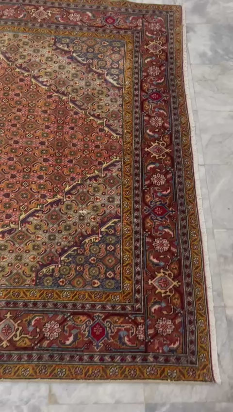 10' x 6' Spectacular Rare Authentic Wool & Silk Vintage Persian Tabriz Mahi Hand Knotted Area Rug - BR143