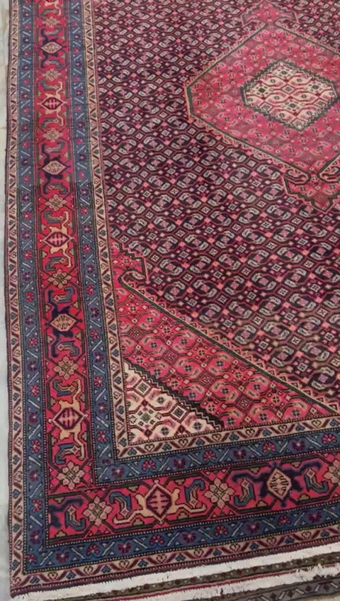 10' x 7' Spectacular Rare Authentic Wool & Silk Vintage Persian Tabriz Mahi Hand Knotted Area Rug - BR141